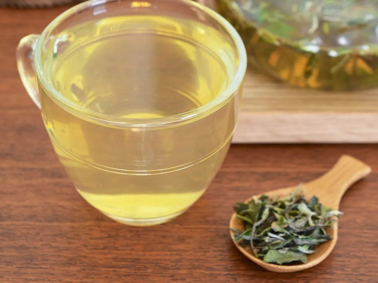 Brew White Tea