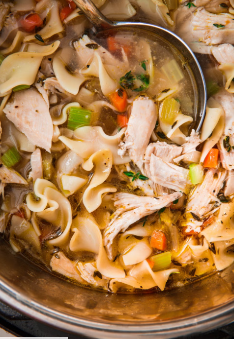 Instant Pot Chicken Noodle Soup