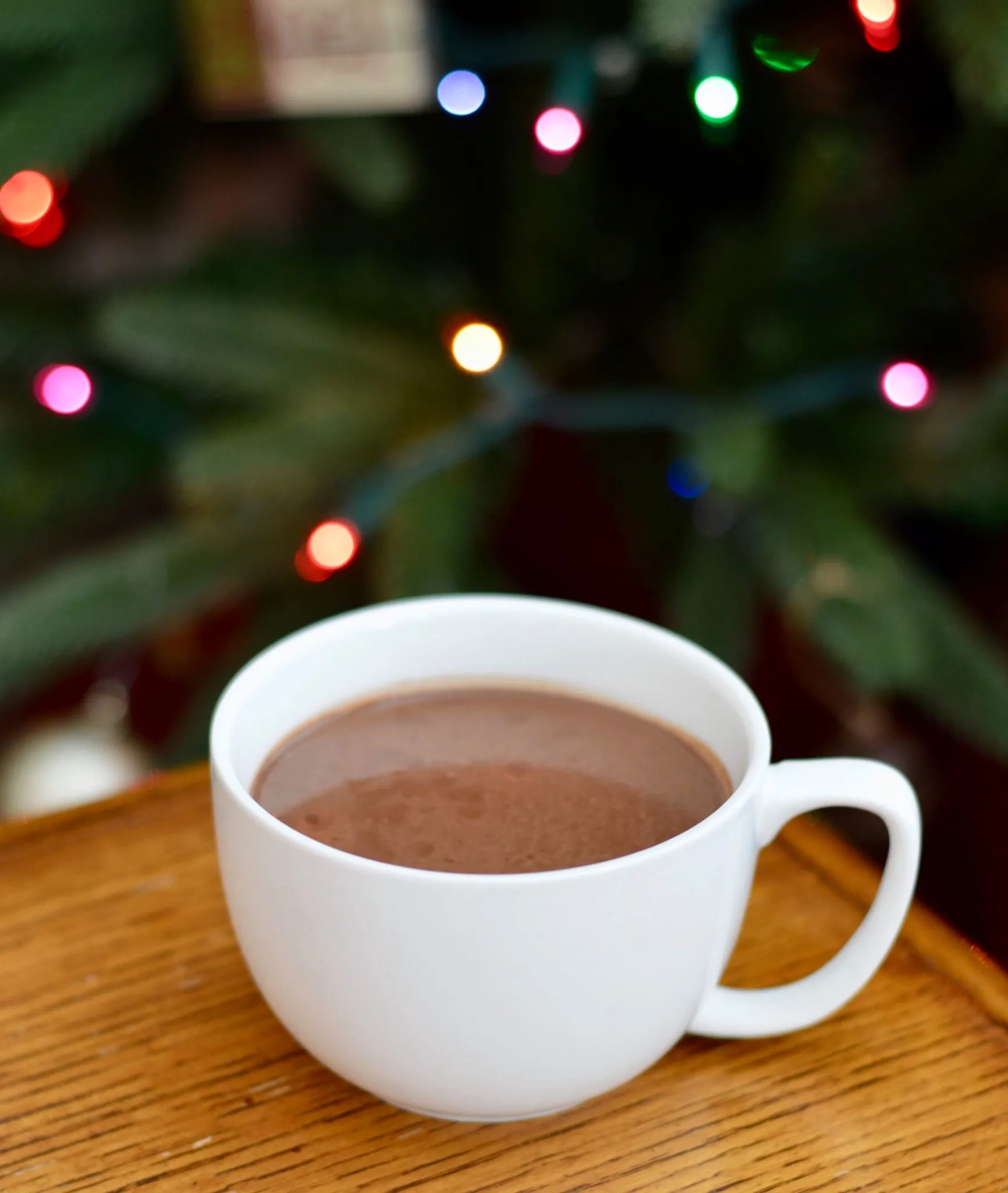 Instant Pot Dairy Free Hot Chocolate