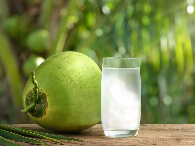 Thai Young Coconut Drink