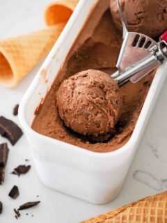 Double Chocolate Ice Cream